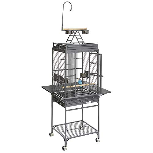 MidWest Homes for Pets Nina Bird Cage-Platinum Play Top