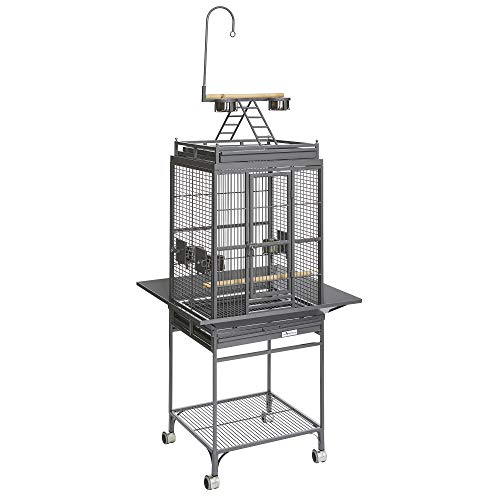 MidWest Homes for Pets Nina Bird Cage-Platinum Play Top