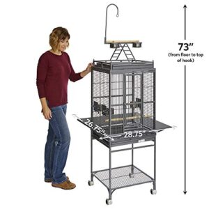 MidWest Homes for Pets Nina Bird Cage-Platinum Play Top