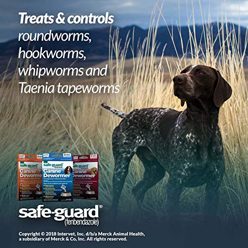 Safe-Guard (fenbendazole) Canine Dewormer for Dogs, 4gm pouch (ea. pouch treats 40lbs.)