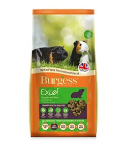 burgess excel nuggets with mint guinea pig food 10kg