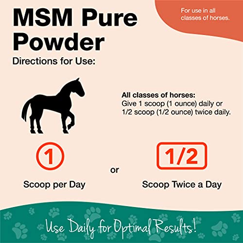 NaturVet MSM Methylsulfonylmethane Pure Joint Support Supplement for Horses, Powder, Made in The USA with Globally Source Ingredients 2 Pounds