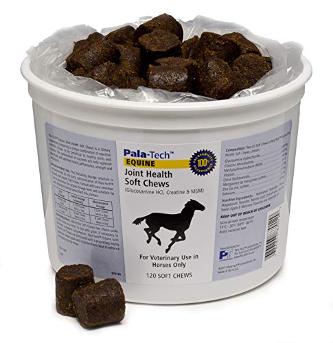 Pala-Tech Laboratories Inc Equine Joint Health Soft Chews B120