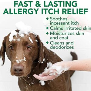 Vet's Best Allergy Itch Relief Dog Shampoo | Cleans and Relieves Discomfort from Seasonal Allergies | Gentle Formula | 16 Oz