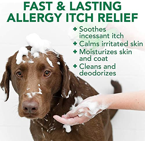 Vet's Best Allergy Itch Relief Dog Shampoo | Cleans and Relieves Discomfort from Seasonal Allergies | Gentle Formula | 16 Oz