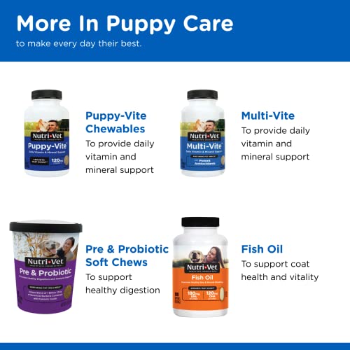 Nutri-Vet Puppy-Vite Paw Gel for Dogs | Liver Flavored Paw Gel | 3 Ounces