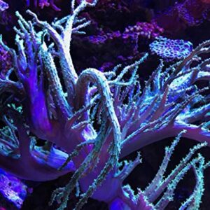 Seachem Reef Fusion 1 500ml