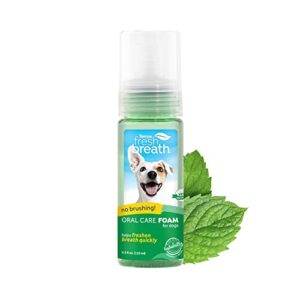 tropiclean fresh breath foam for dogs & cats | travel-ready dog breath freshener foam for stinky breath | made in the usa | 4.5 oz