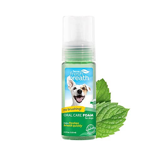 TropiClean Fresh Breath Foam for Dogs & Cats | Travel-Ready Dog Breath Freshener Foam for Stinky Breath | Made in the USA | 4.5 oz