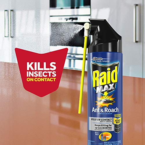 Raid Max Ant and Roach Spray, 14.5 OZ (Pack of 6)