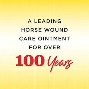 Corona Ointment for Horses | Lanolin-Based Formula Helps Sooth Irritation | 7 Ounces