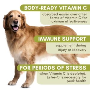 Wholistic Pet Organics Allergy Immune Boost: Vitamin C for Dogs Skin and Coat Supplement - 4 oz - Dog Allergy Relief Medication for Dogs - Dog Itch Relief - Ester C Dogs Supplement and Vitamin Powder