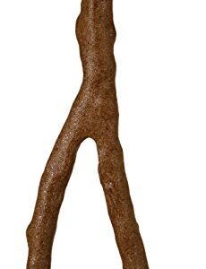 Prevue Pet Products Cosmic Crunch Perch Medium 1022