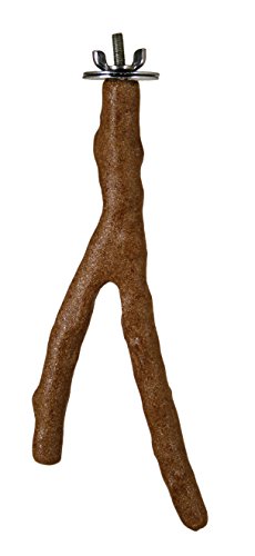 Prevue Pet Products Cosmic Crunch Perch Medium 1022