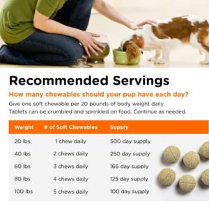 Nutri-Vet Brewer's Yeast and Garlic Chewable Tablets for Dogs - Veterinarian Formulated to Support the Immune System and a Healthy Skin & Coat - 500 Chewable Tablets