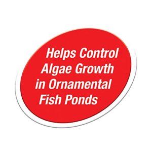 Tetra Pond Fountain Block 6 Count, Controls Algae Growth In Ornamental Fountains