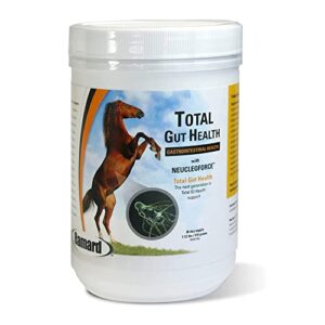 ramard total gut health horse supplement for digestion, horse powder supplement for gastrointestinal health & total gut balance, equine feed powder horse gut health supplement - 1.12lb, 30-day supply
