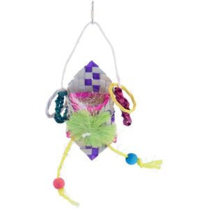 Prevue Pet Products Calypso Creations Party Favor Bird Toy