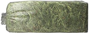 timothy gold hay, 5lb, blue