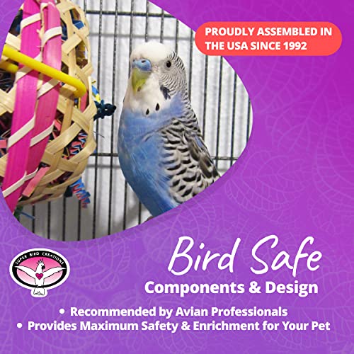 Super Bird Creations SB573 Basket Case Bird Toy, Medium Bird Size, 10" x 4"