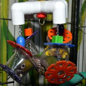 Super Bird Creations SB634 Foraging 4 Way Forager Bird Toy with Clear Acrylic Cups, Medium/Large Bird Size, 12"x7"x7"