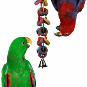 super bird creations sb626 hoopla bird toy, medium/large bird size, 15" x 2.5"