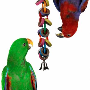 Super Bird Creations SB626 Hoopla Bird Toy, Medium/Large Bird Size, 15" x 2.5"