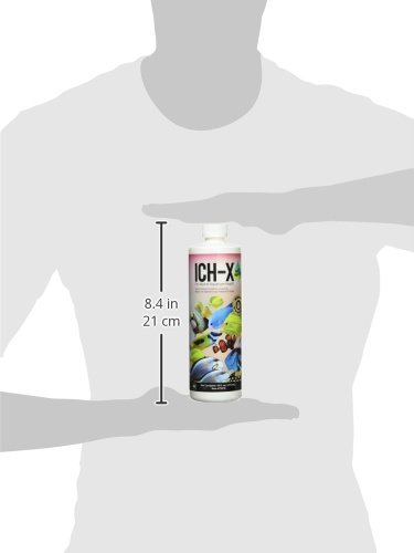 Hikari Usa AHK73316 Salt water Ich-X for Aquarium, 16-Ounce