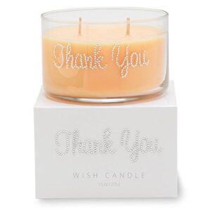 primal elements thank you wish candle, 9.5 ounce (pack of 1)