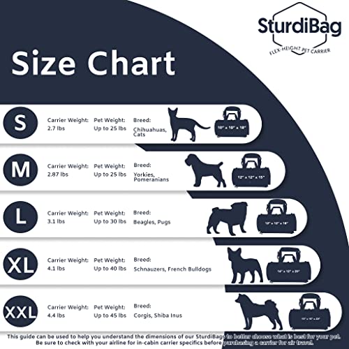 Sturdi Products SturdiBag Pet Carrier, Small, Evergreen