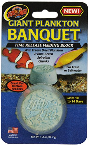 Zoo Med Laboratories AZMBB6 Plankton Banquet Block Feeder Giant, 1 Count (Pack of 1)