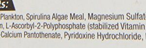 Zoo Med Laboratories AZMBB6 Plankton Banquet Block Feeder Giant, 1 Count (Pack of 1)