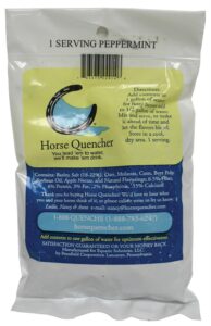 horse quencher single serving travel pack - peppermint
