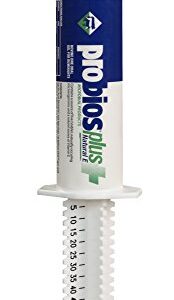 Probios Bovine One Oral Gel for Ruminants Plus Natural E Tube, 60cc