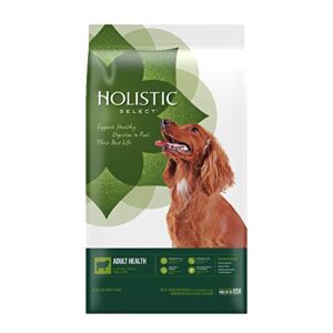 holistic select natural dry dog food, lamb meal recipe, 30-pound bag