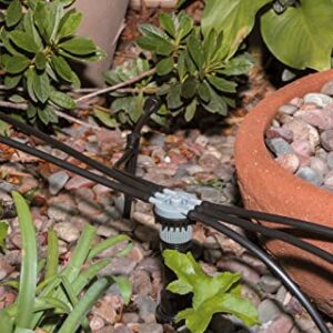 Rain Bird MANIFRE6S Drip Irrigation 6-Port Manifold, Unregulated Free Flow