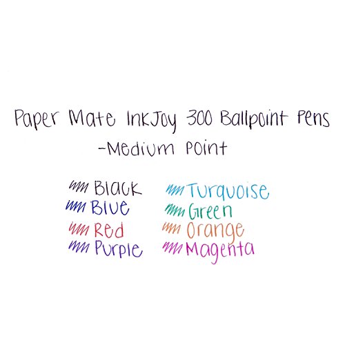 Paper Mate 300 Ballpoint Pen, Capped, Black, Medium, Single (1760301)