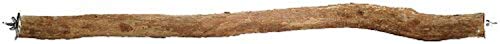 Polly's Full Length Hardwood Bird Perch, 30-Inch, Brown (50804)