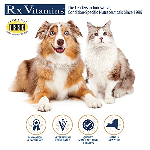 Rx Vitamins Amino B Plex for Pets - B Vitamin Complex Plus Amino Acids for Dogs & Cats - Vitamin Supplements for Dogs' & Cats' Total Body Support - 4 oz