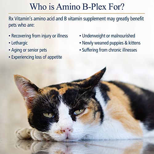 Rx Vitamins Amino B Plex for Pets - B Vitamin Complex Plus Amino Acids for Dogs & Cats - Vitamin Supplements for Dogs' & Cats' Total Body Support - 4 oz
