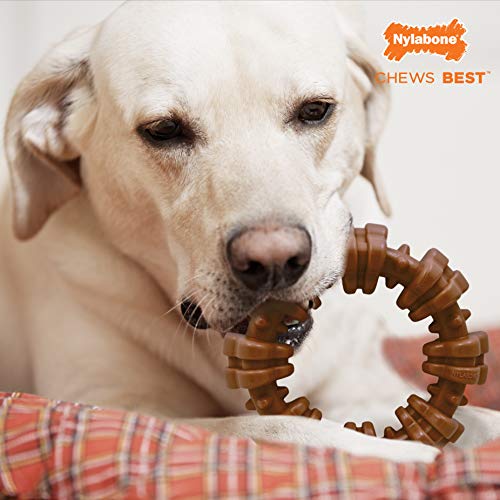 Nylabone Power Chew Textured Dog Chew Ring Toy - Tough and Durable Dog Chew Toy for Aggressive Chewers - Indestructible Dog Toys for Aggressive Chewers - Flavor Medley, X-Large/Souper (1 Count)