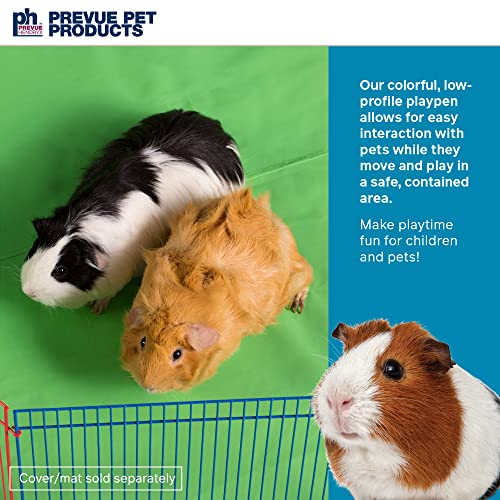 Prevue Pet Products Multi-Color Small Pet Playpen 40090,13x35.87x8.67 inch,13-Inch