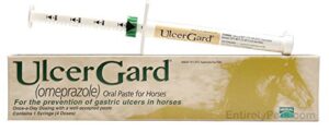ulcergard oral paste syringe - 10 pack