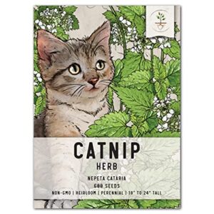 seed needs, catnip herb seeds for planting (nepeta cataria) heirloom, non-gmo & untreated (1 pack)