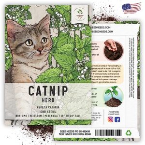 Seed Needs, Catnip Herb Seeds for Planting (Nepeta cataria) Heirloom, Non-GMO & Untreated (1 Pack)