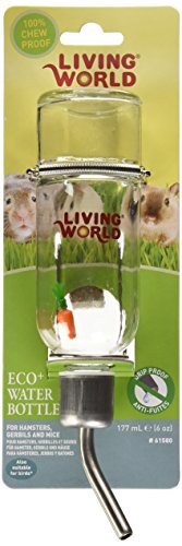 Living World Eco + Water Bottle, 6-Ounce