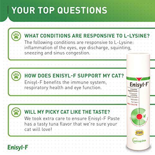 Vetoquinol Enisyl-F Oral Paste: L-Lysine Supplement for Cats - Tuna Flavor, 3.4oz (100mL) Pump