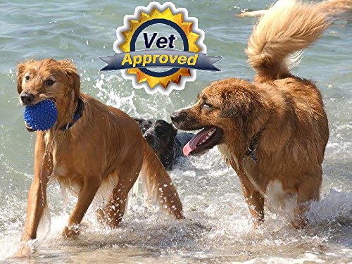 Dog Pain Away - Vet Approved Dog Pain Reliever (90 Count) - Fast Acting Pain Relief Supplement To Repair Connective Tissue and Help Alleviate Hip and Joint Pain - All Natural Chewable Tablets To Renew Your Dogs Vitality