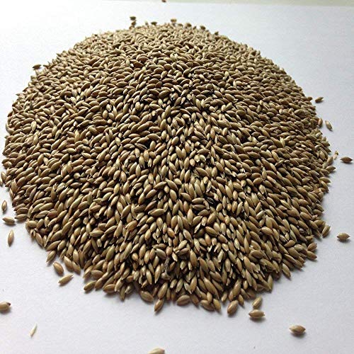 Sweet Harvest Canary Seed Alpiste Bird Food