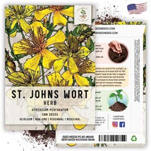 Seed Needs, St. Johns Wort Medicinal Herb Seeds for Planting (Hypericum perforatum) Single Package of 500 Seeds - Heirloom, Non-GMO & Untreated (2 Packs)